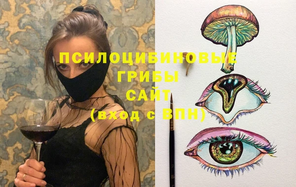 spice Богородицк