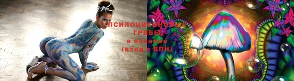 не бодяженный Богданович