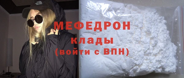 spice Богородицк