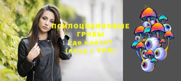 spice Богородицк