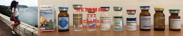 spice Богородицк