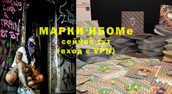 spice Богородицк