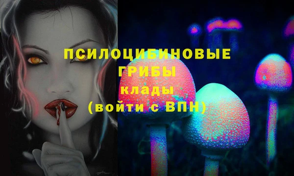 не бодяженный Богданович
