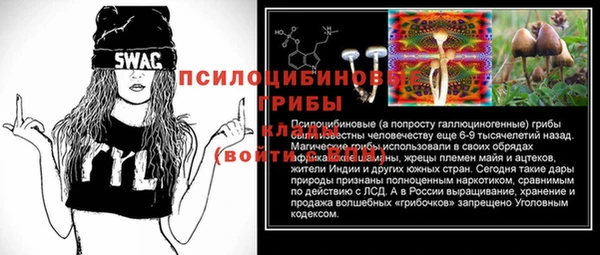 метадон Богородск