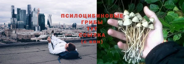 не бодяженный Богданович